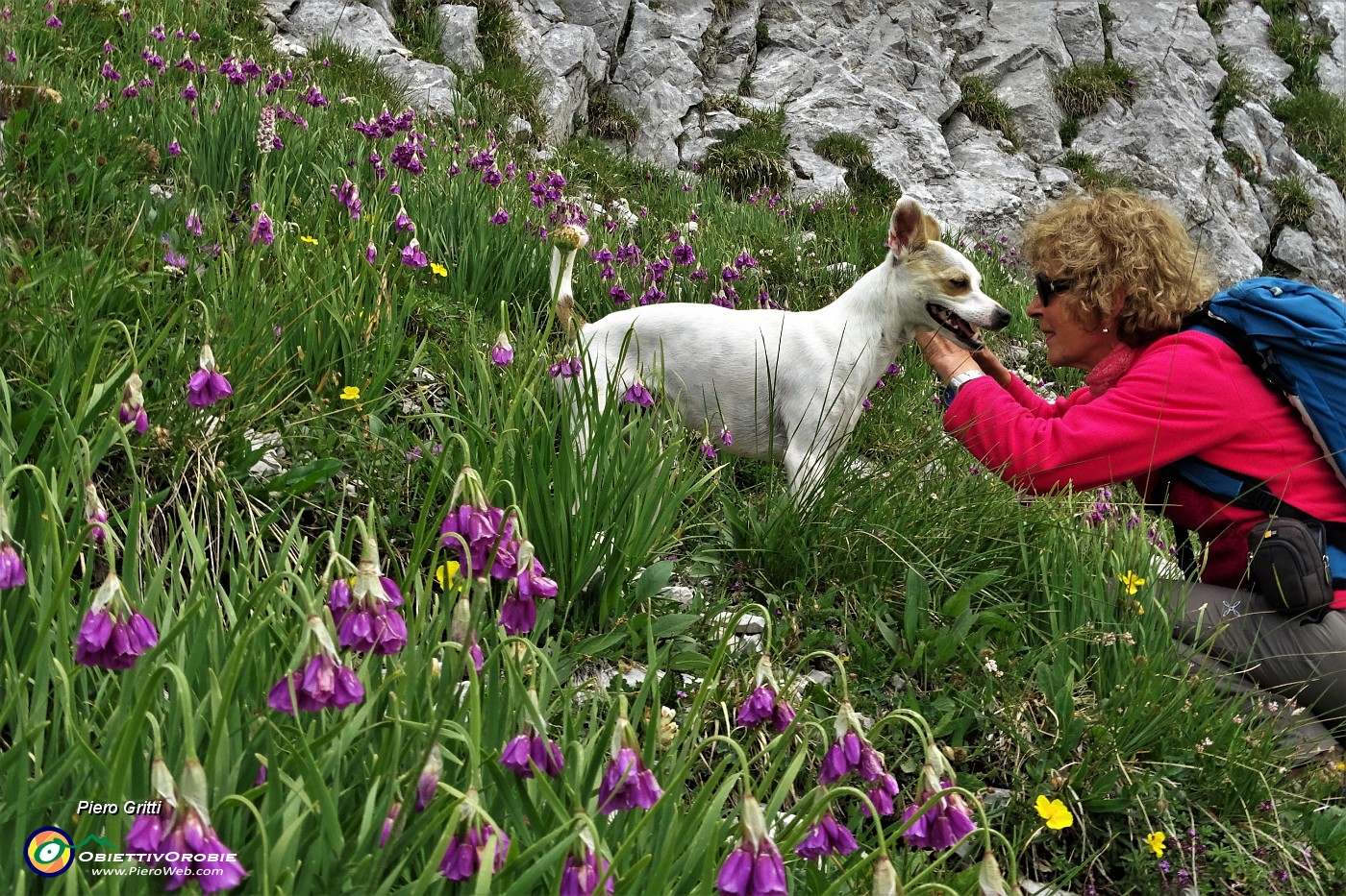 55  Aglio d'Insubria (Allium insubricum).JPG